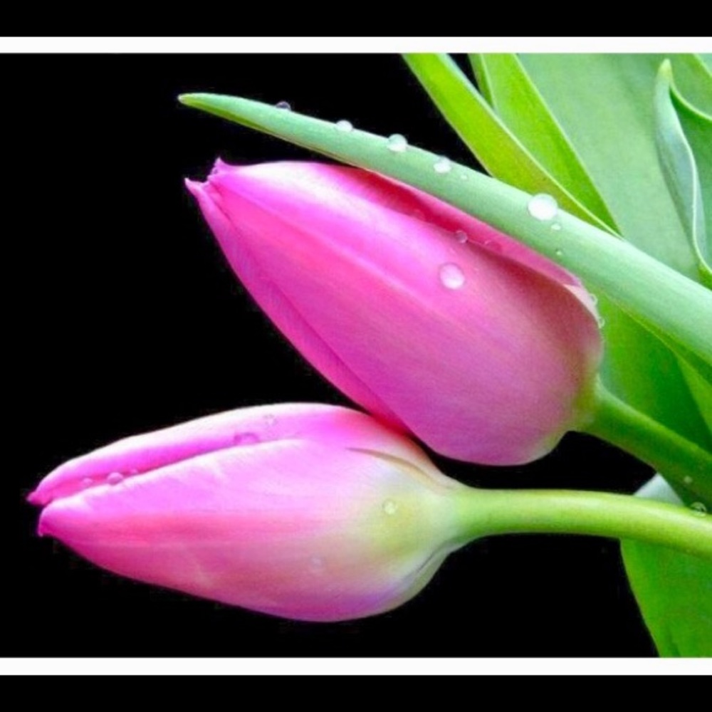 Hi! A Taste of Heaven here ♥️